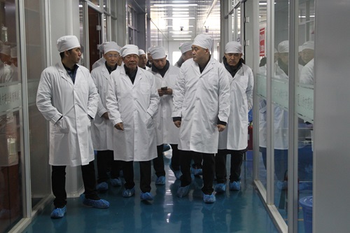 1700894045177574.jpg IMG_9354.JPG